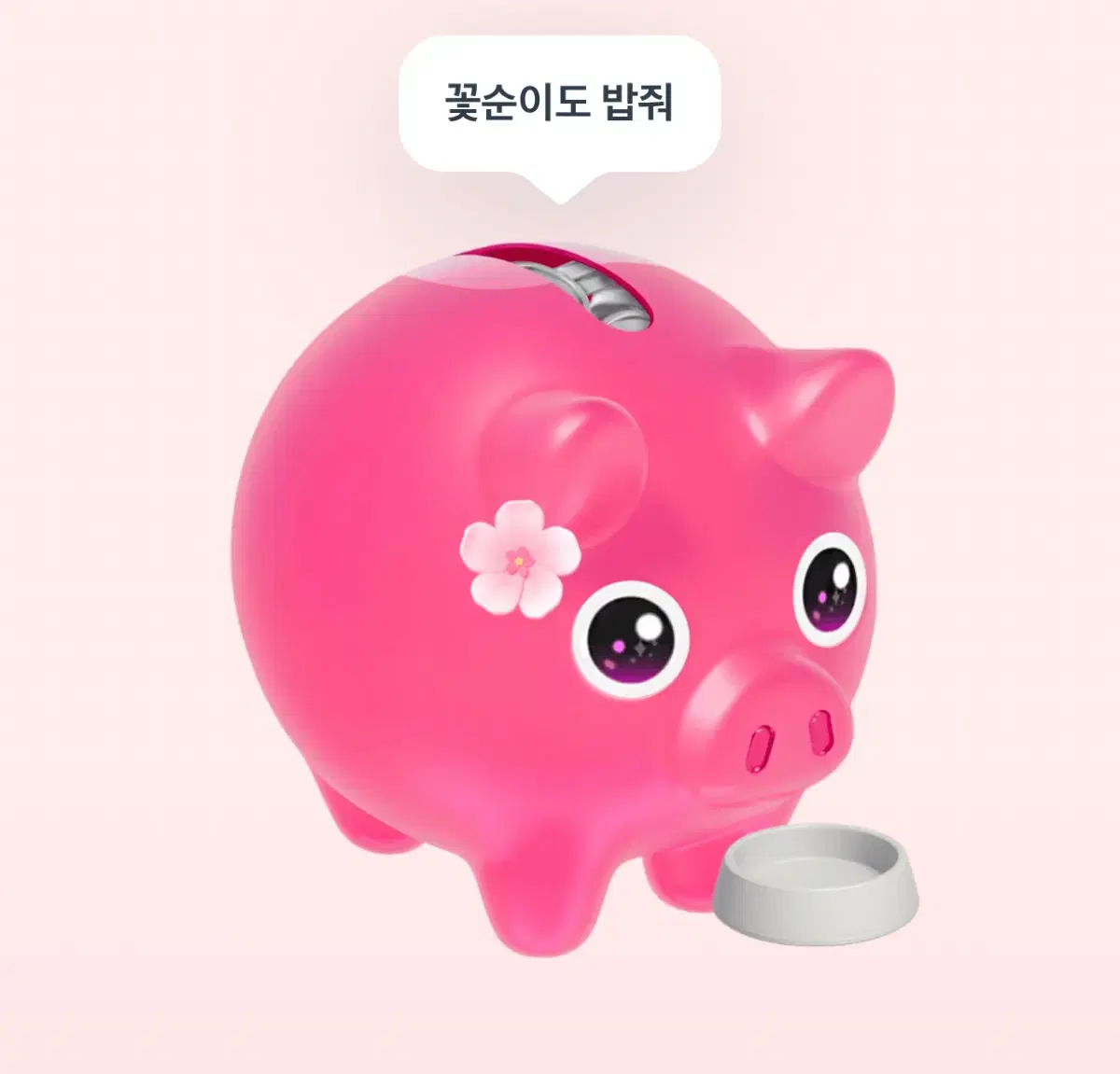 꽃돼지 컹컹